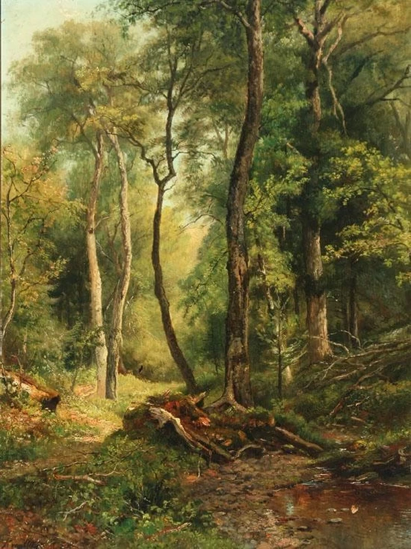 Paesaggio forestale
